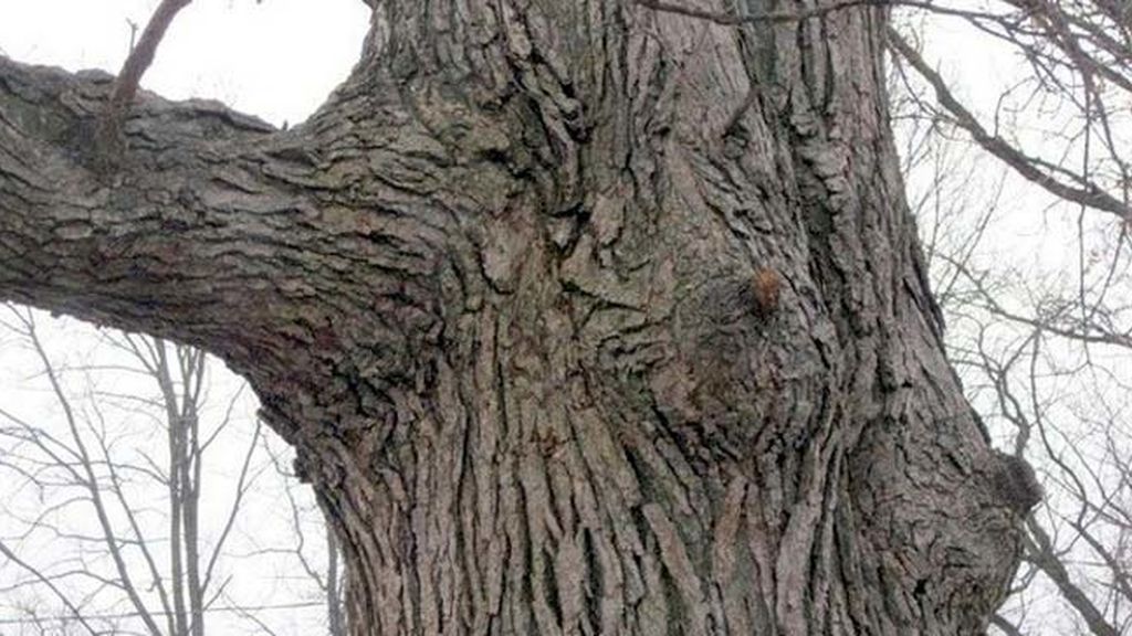 Miras y miras, pero nada es lo que parece