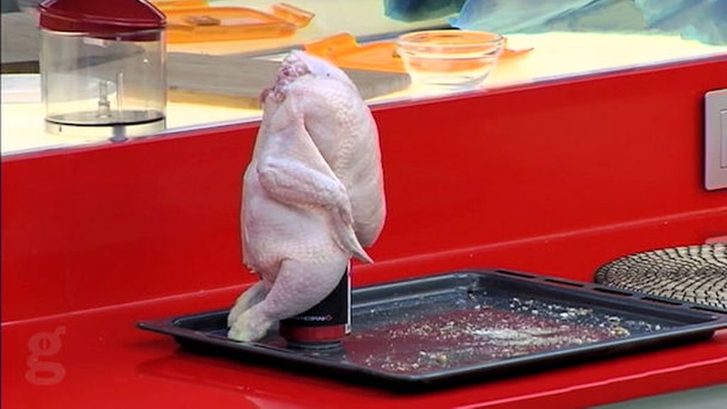 Pollo sentado