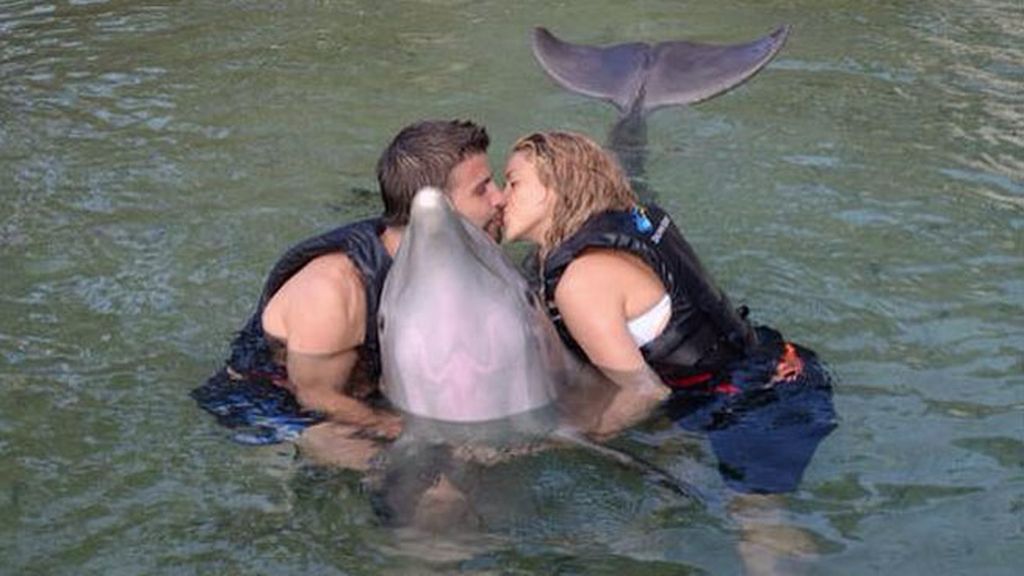Los delfines fueron testigos de su amor