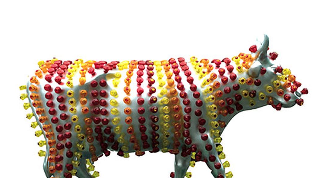 Las vacas inundan Madrid