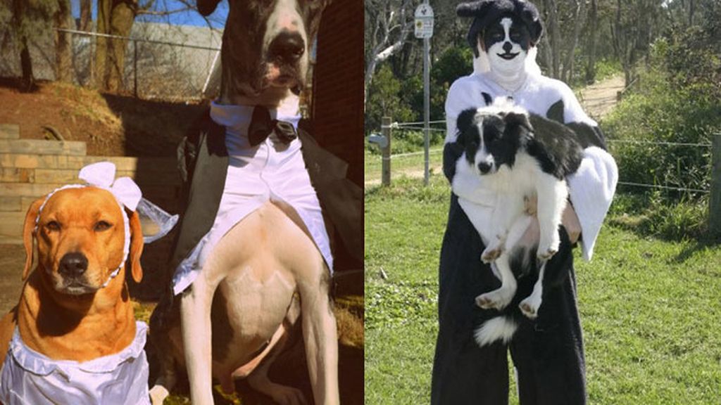 Mascotas y dueños poco fotogénicos