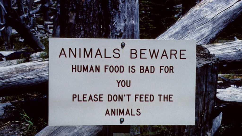 Advertencia para los animales