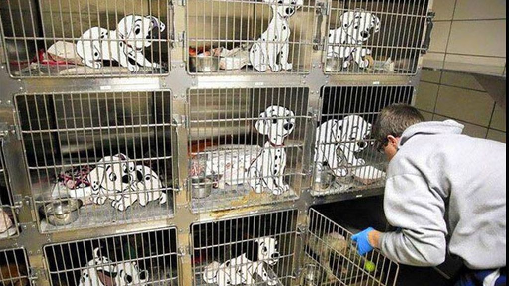 Para el artista Jeff Hong, sería muy difícil en nuestro mundo