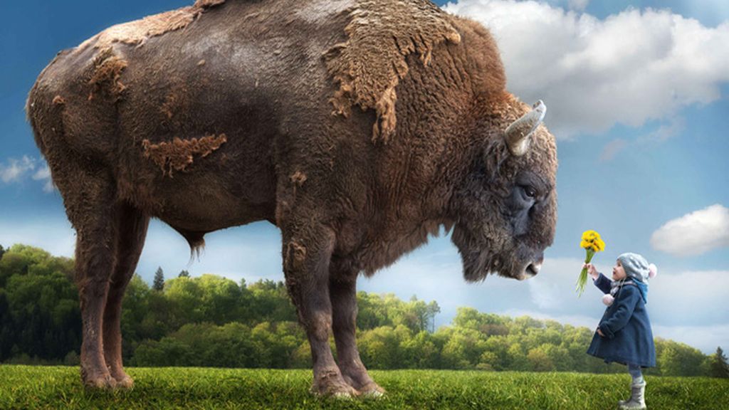 Maravillas del reino animal