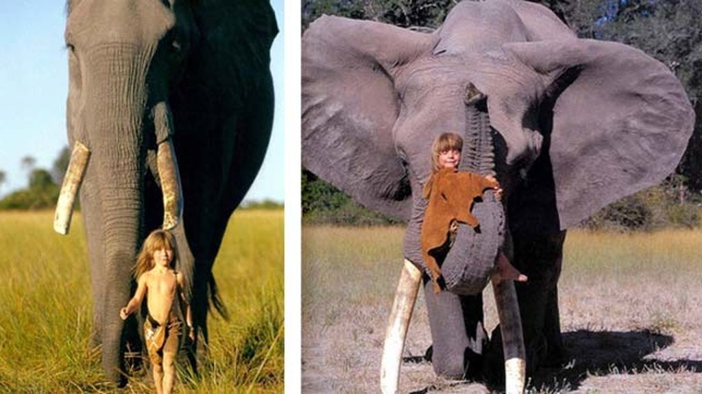 La vida de una niña que se crio en la selva africana