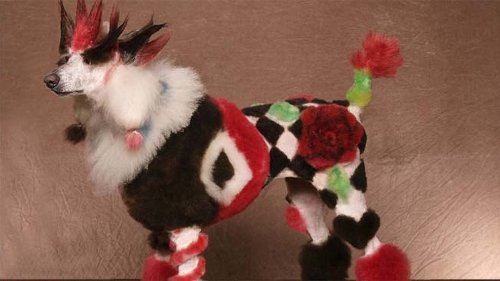 ‘Tuneando’ a mi mascota