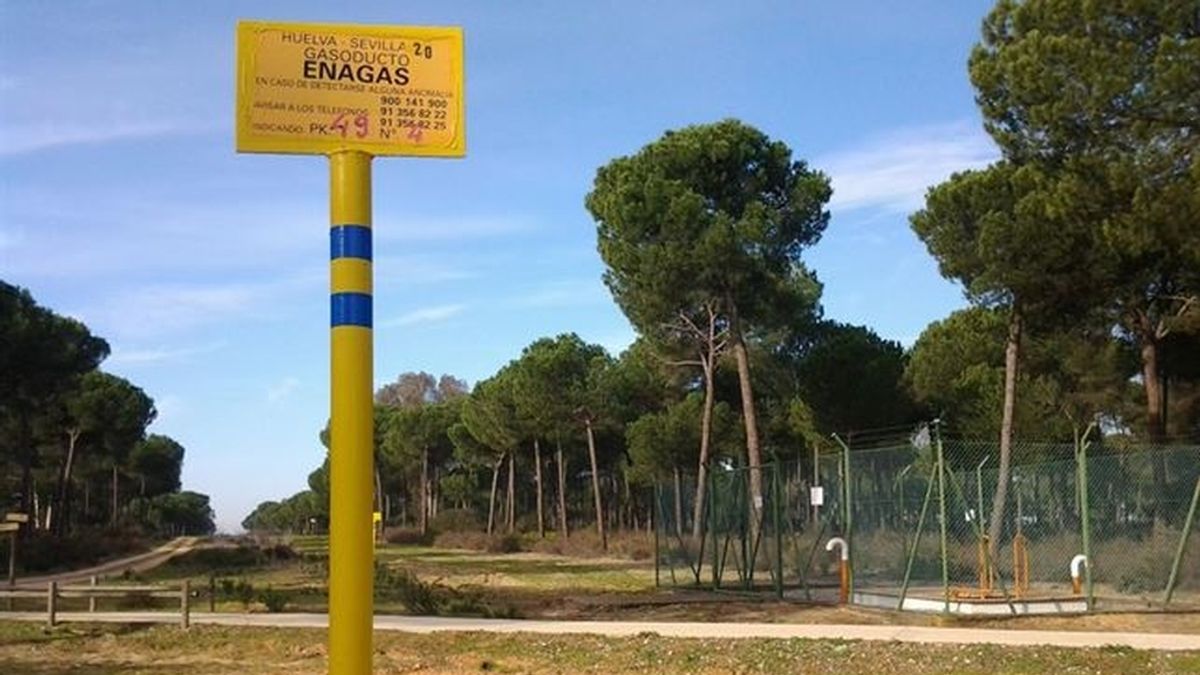 WWF entrega en la Junta más de 11.000 firmas recogidas contra el almacén de gas en Doñana