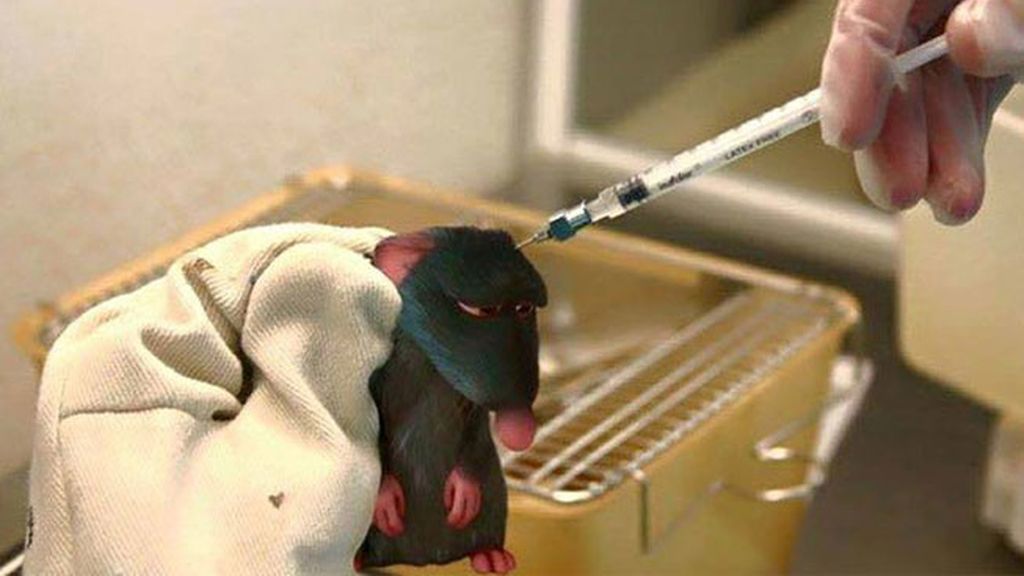 Para el artista Jeff Hong, sería muy difícil en nuestro mundo