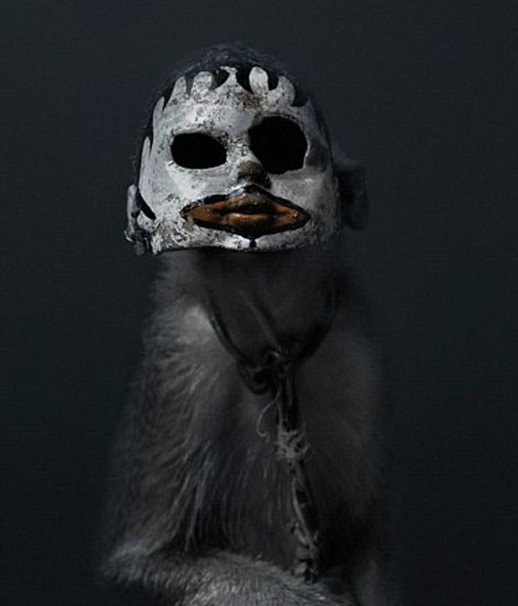 Arte inquietante por la dignidad animal