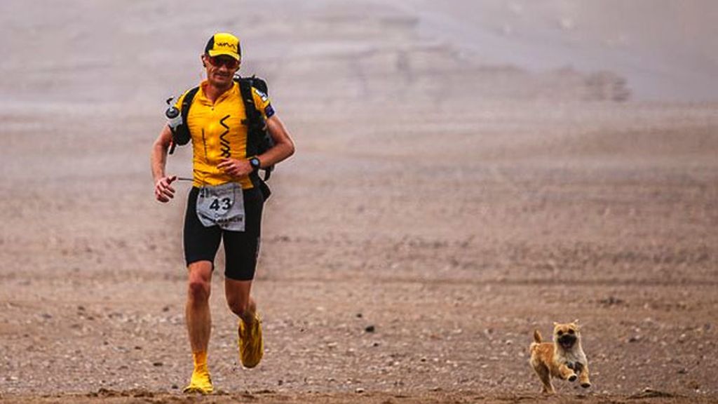 maratón Gobi, perra maratonista, Dion Leonard maratón Gobi, perra maratonista, Dion Leonard