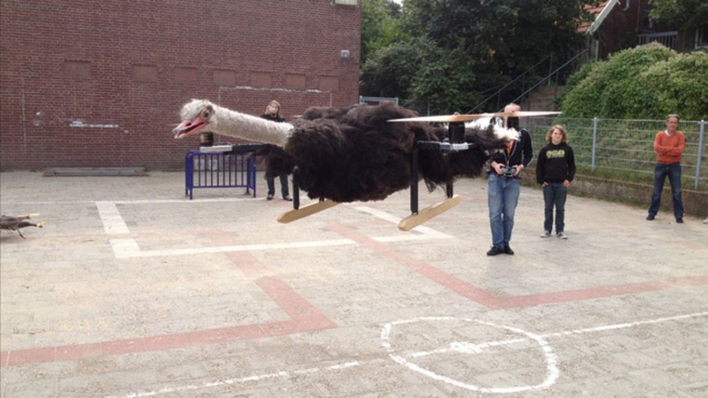 La 'animalista' afición que une taxidermia y drones