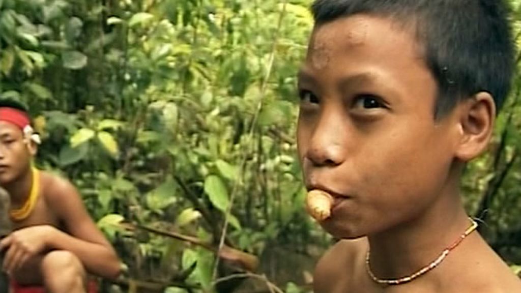 Los Recuero descubren que las larvas forman parte de la gastronomía local de los Mentawai