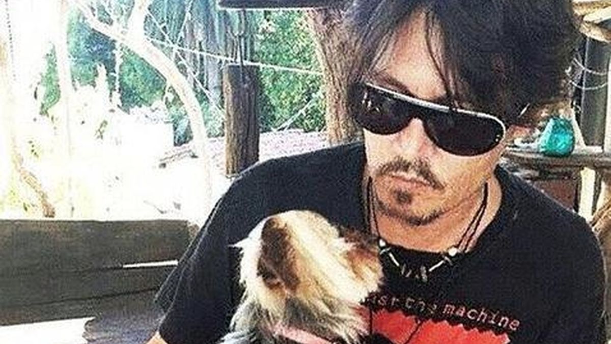 Johnny Depp saca a su perros de Australia para que no los sacrifiquen