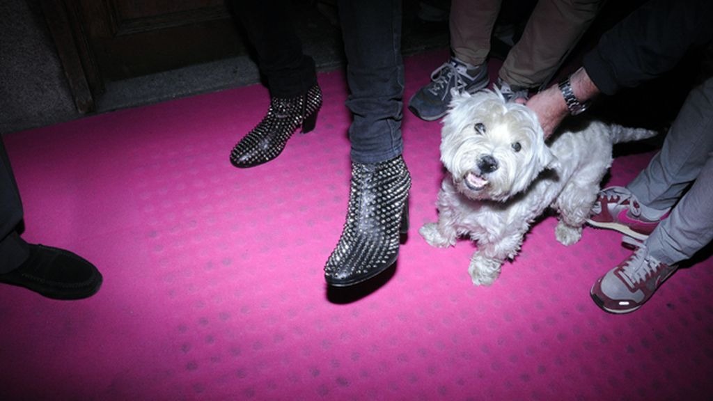 El Glamour de nuestras famosas en la Fashion Night Out