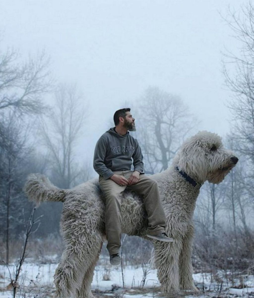 El fotógrafo venció la depresión con su mascota