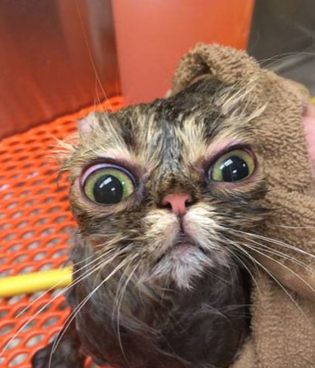 ¡Odio bañarme!