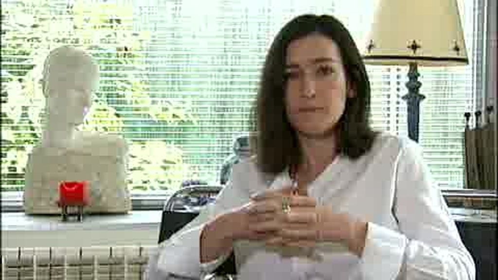 Ángeles González-Sinde, perfil