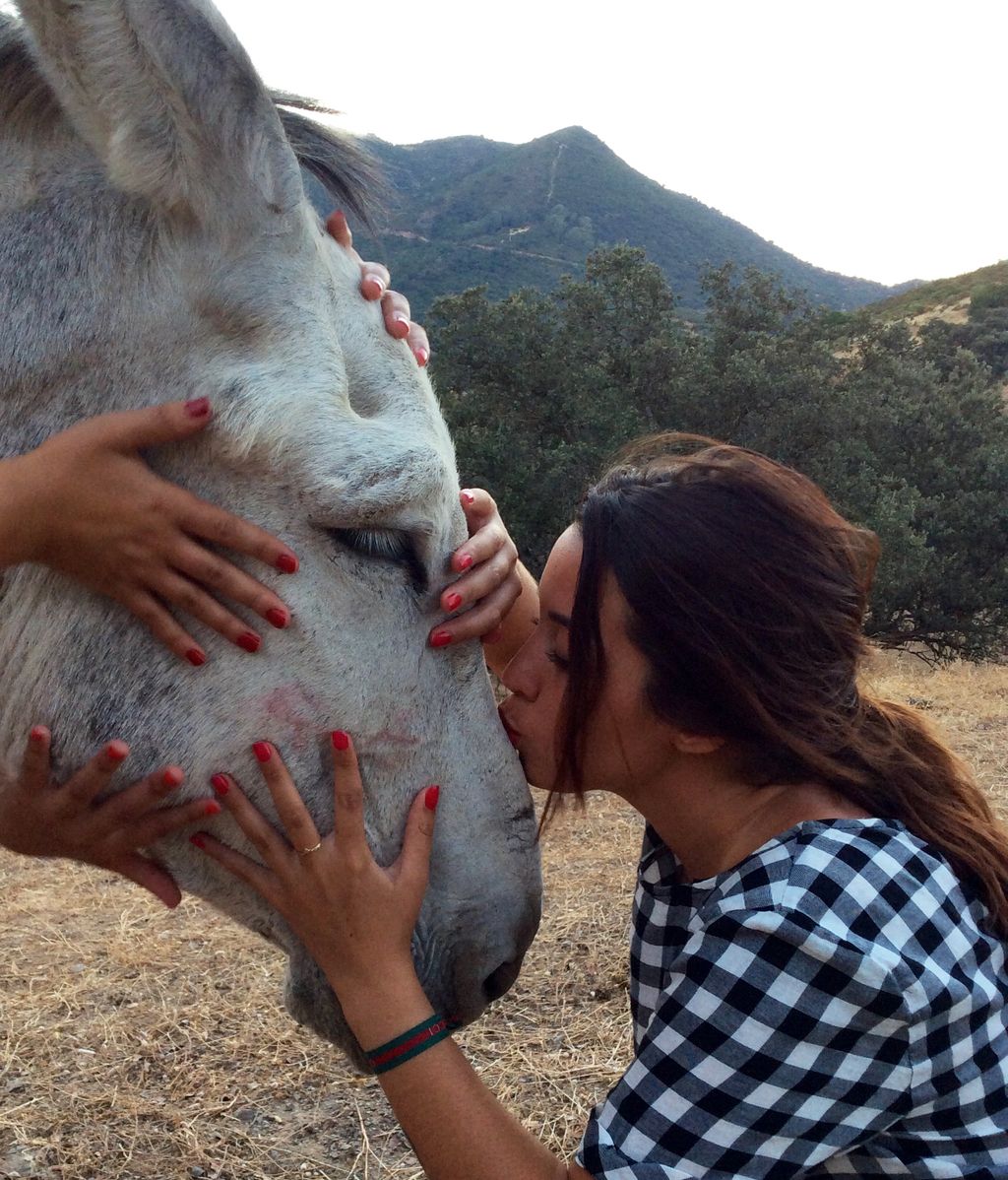 Concurso "Deja que te Bese"