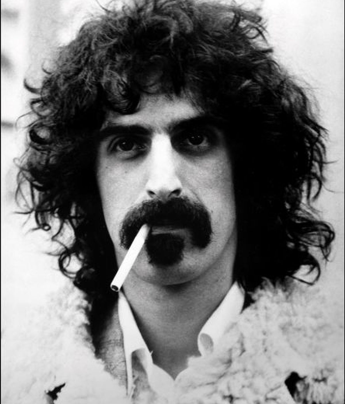 'Dirty Love', de Frank Zappa