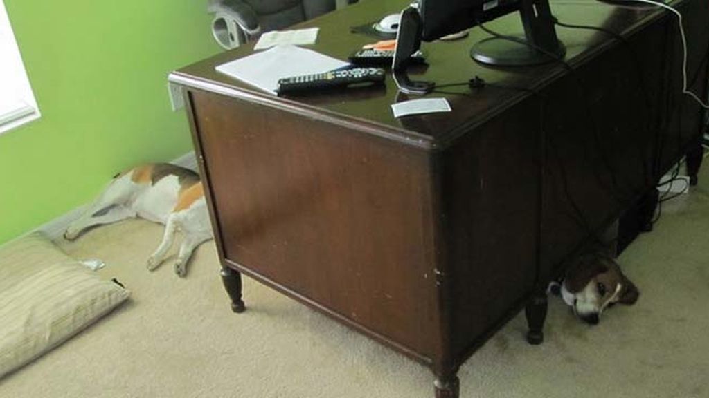 Miras y miras, pero nada es lo que parece