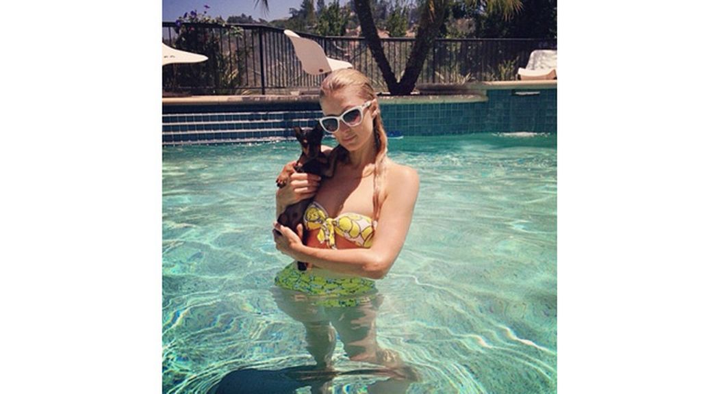 Paris Hilton enseña a su perrito a nadar en la piscina