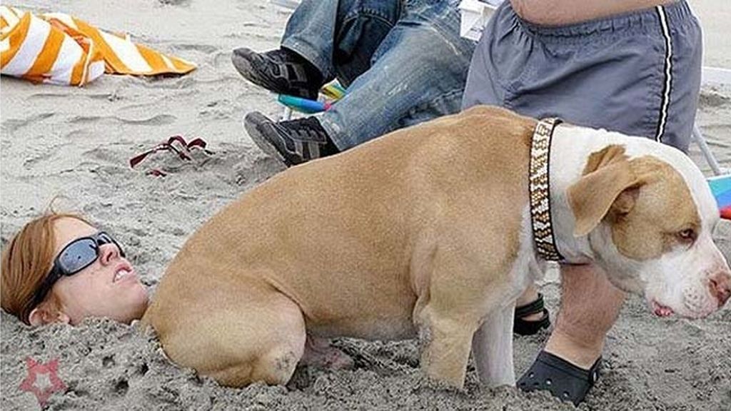 Las peores fotos de vacaciones