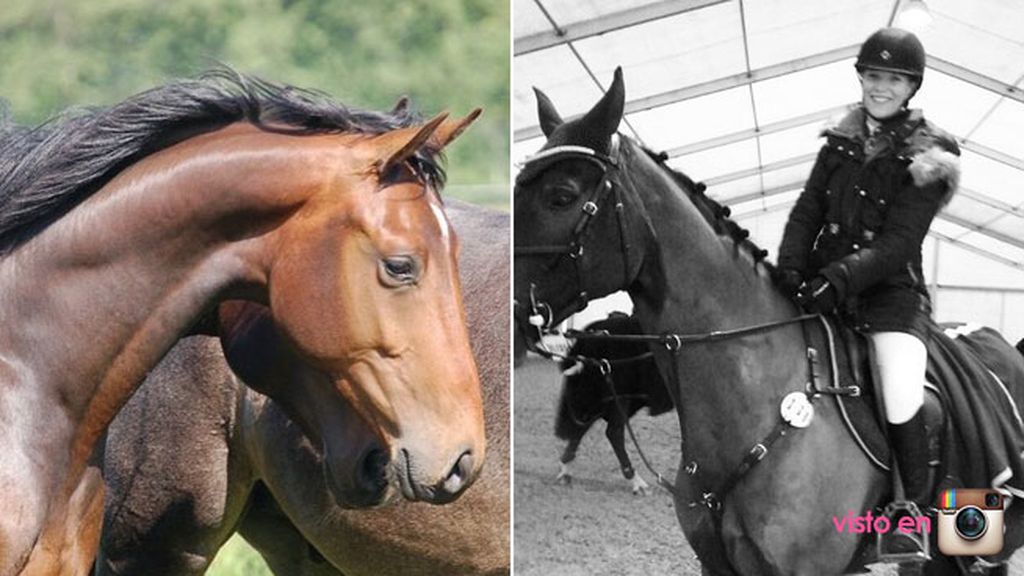 Practica hípica y es una apasionada de los caballos