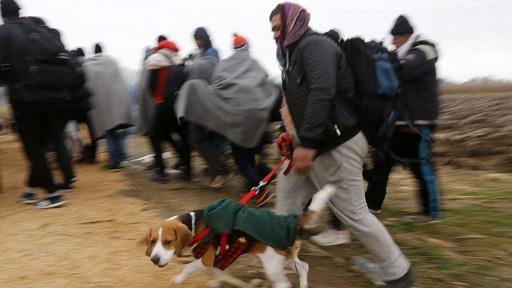 Refugiados