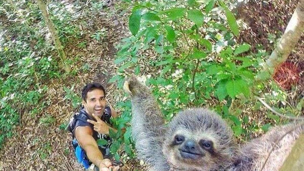 Selfi perezoso Selfi perezoso