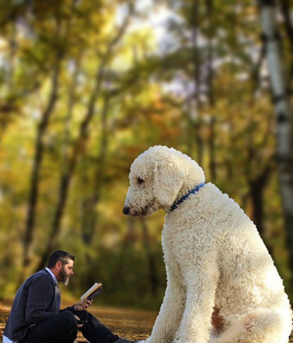El fotógrafo venció la depresión con su mascota