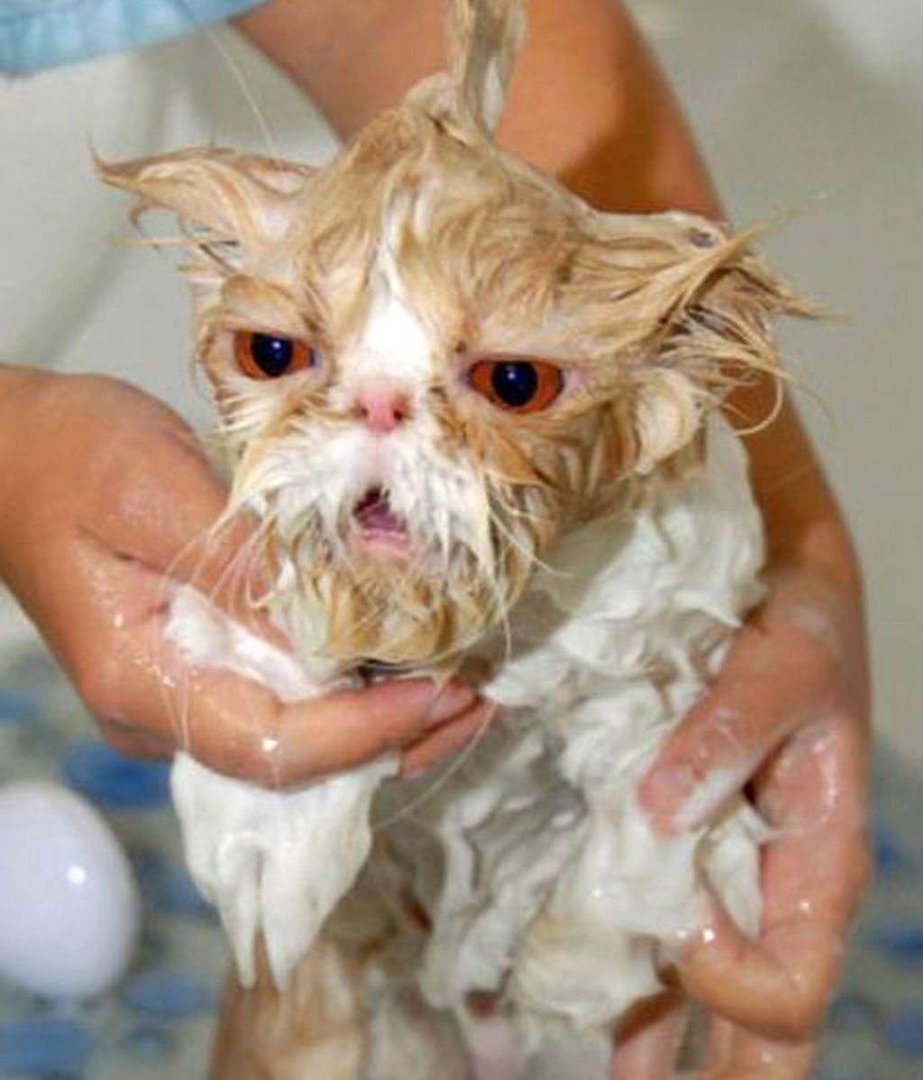 ¡Odio bañarme!