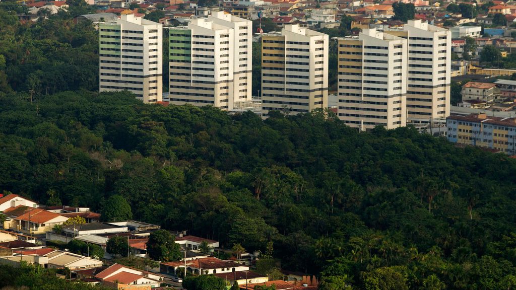 La selva irrumpe en la ciudad