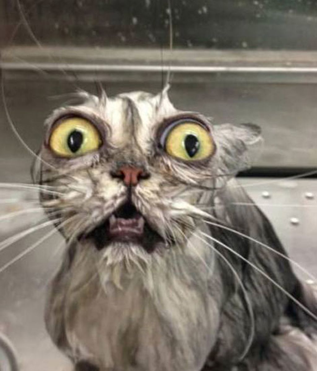 ¡Odio bañarme!