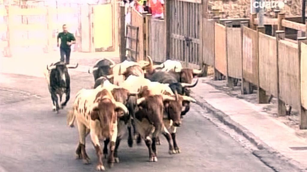 Agónico encierro de los toros de Miura