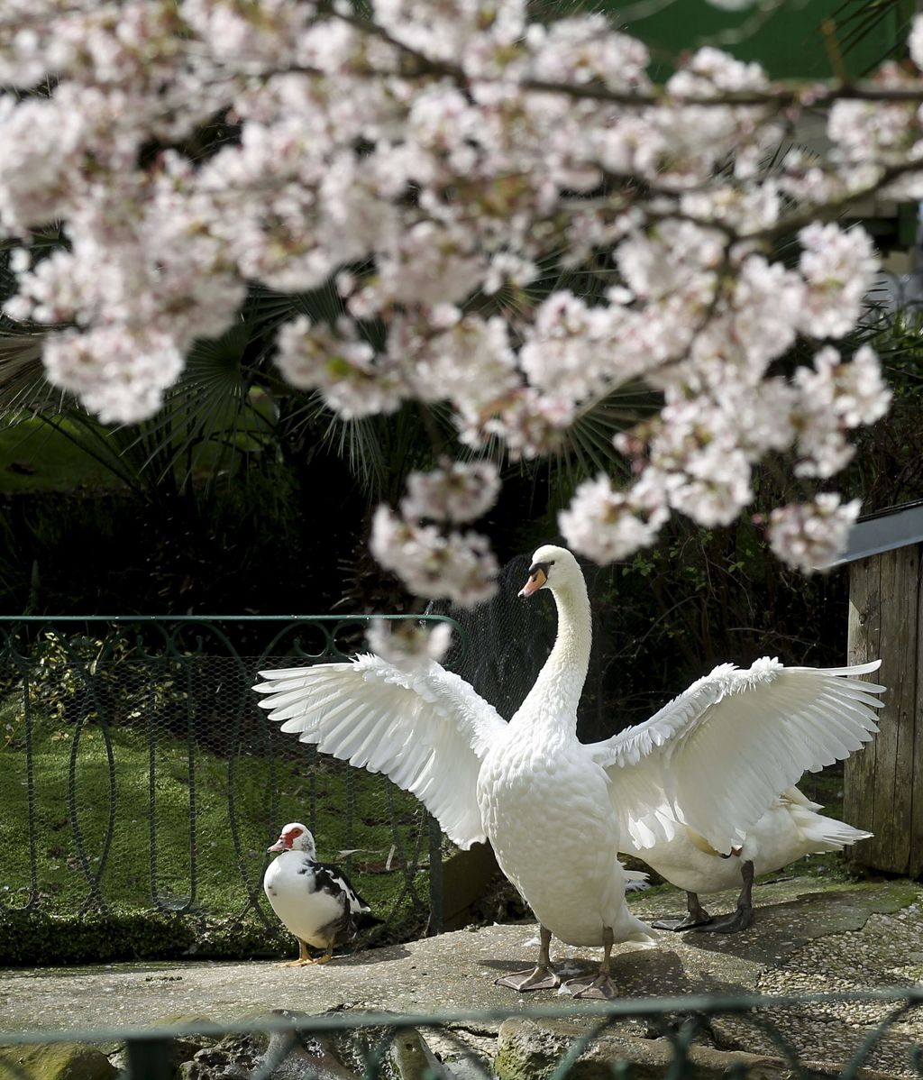 ¡Ya es primavera!