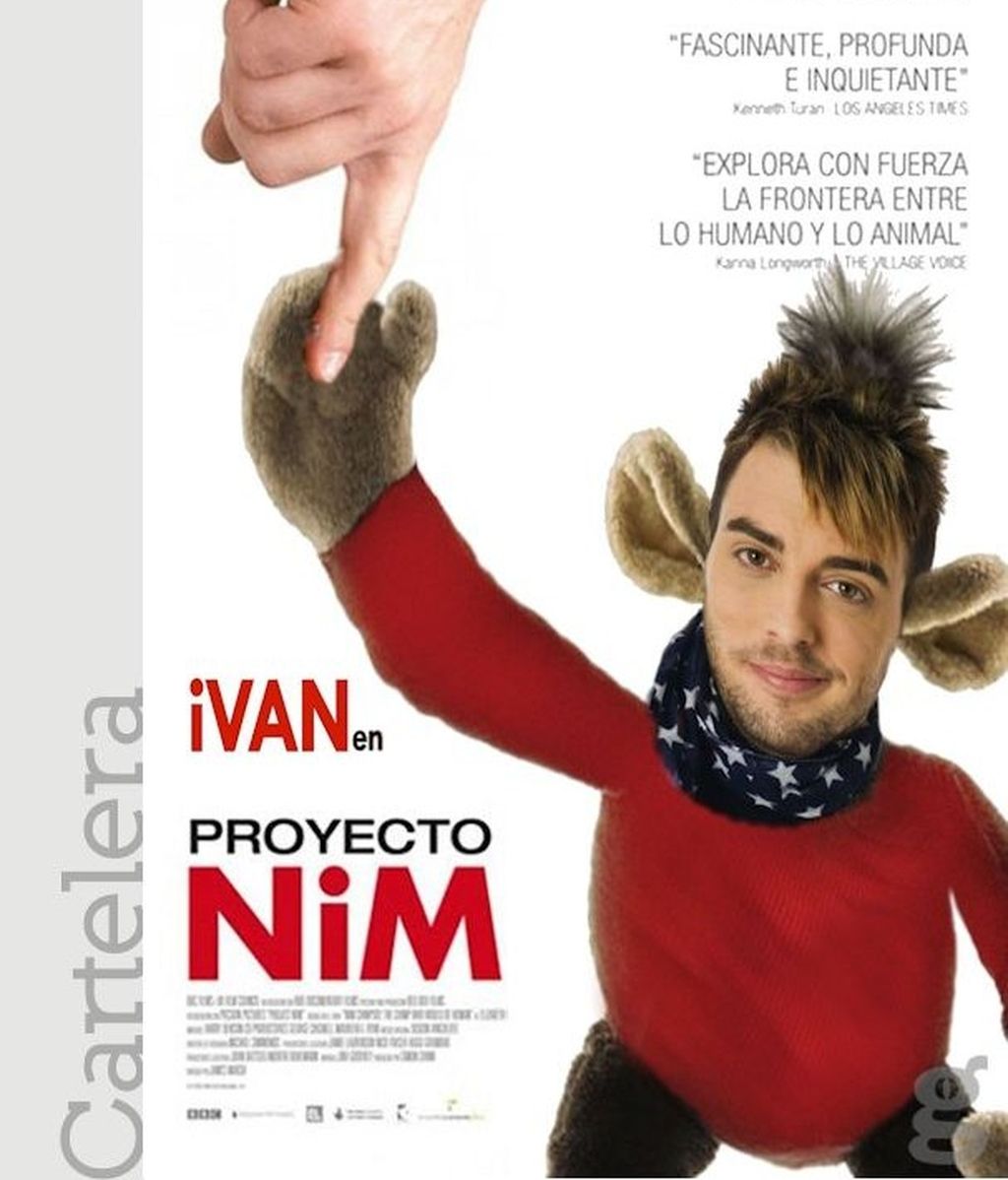 Cartelera: Proyecto Nim