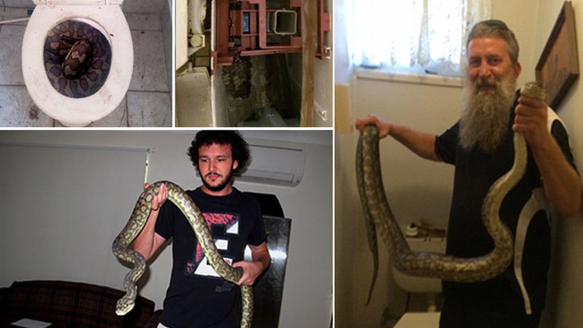 El cazador de serpientes…en los baños de las casas