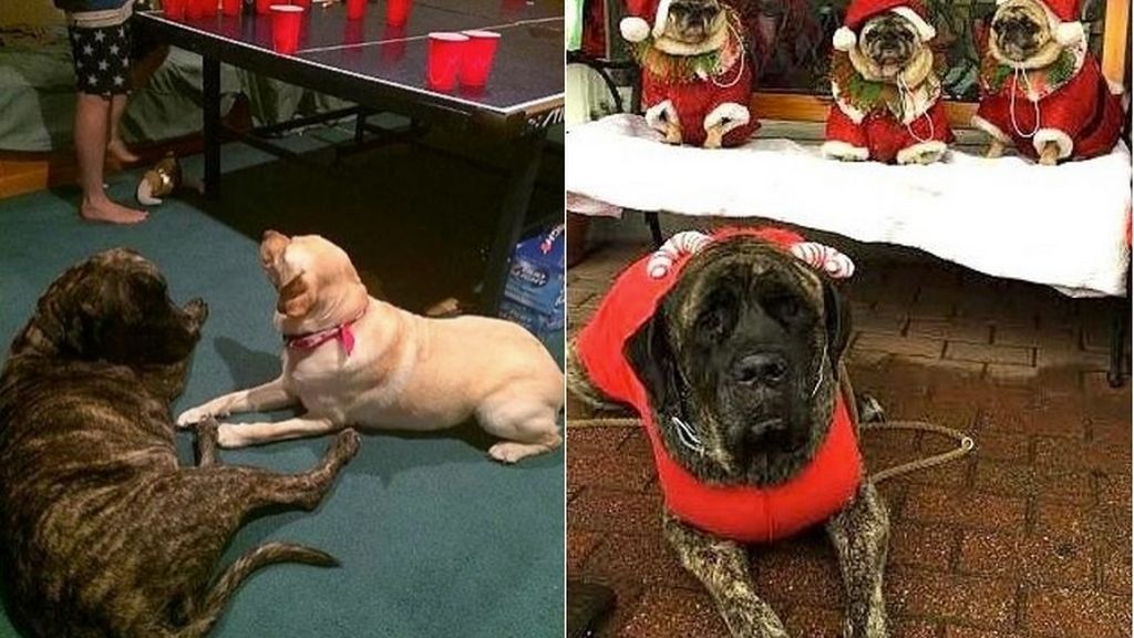 Hacer amigos y disfrazarse de Papá Noel