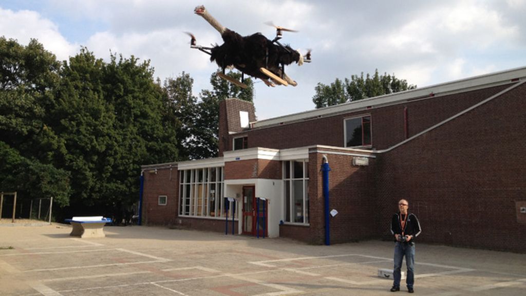 La 'animalista' afición que une taxidermia y drones