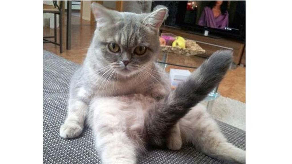 Miras y miras, pero nada es lo que parece