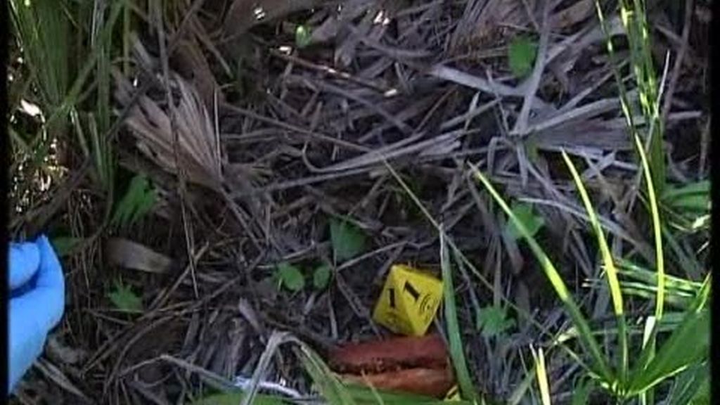 Cebos envenenados que amenazan a los animales