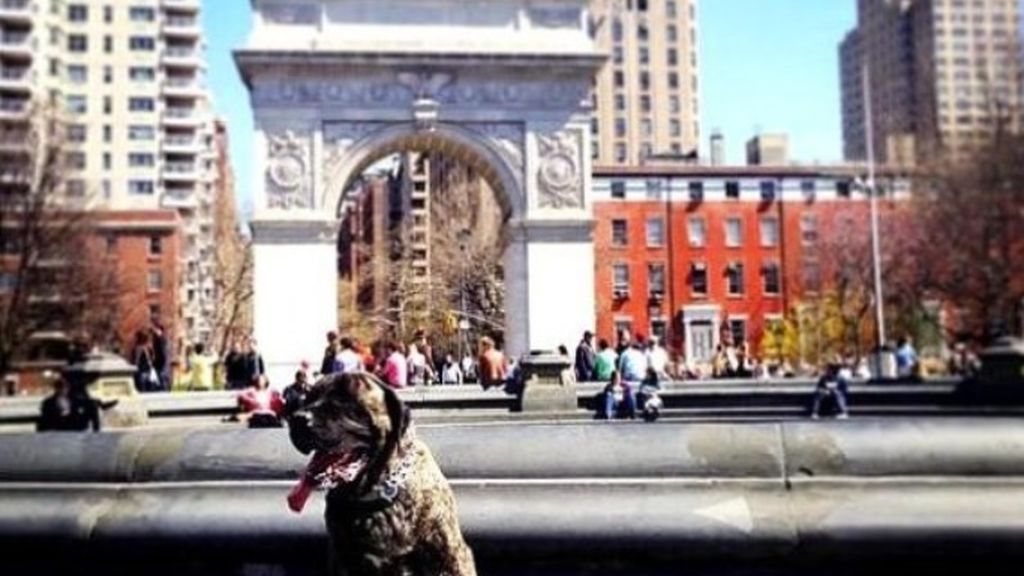 Disfrutar del Washington Square Park