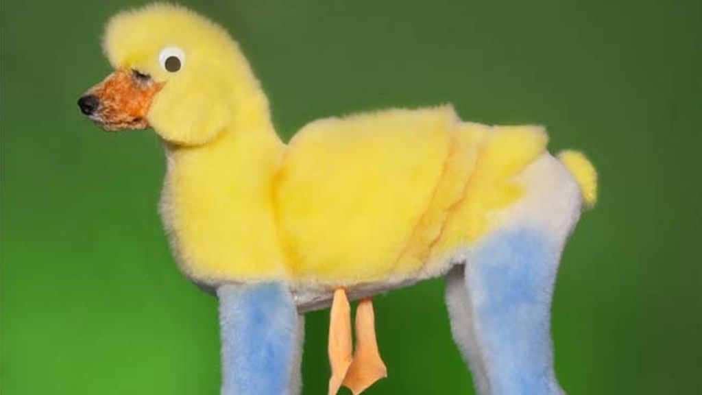 ‘Tuneando’ a mi mascota