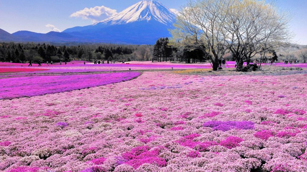 10 paisajes espectaculares para no perderse