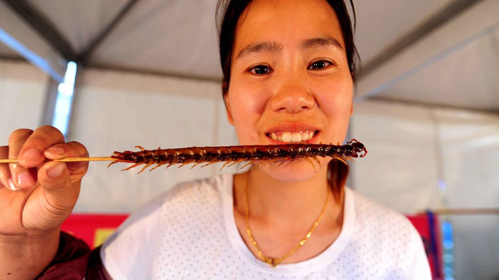 Festival de comida a base de insectos en China