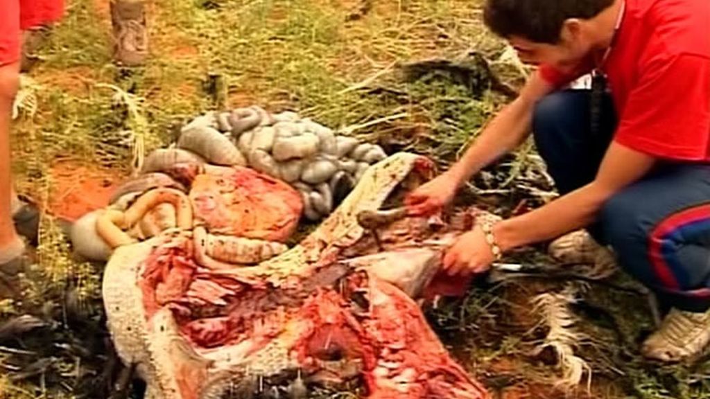 Los hombres de la familia Molina Herrera cumplen el castigo de cazar a un animal