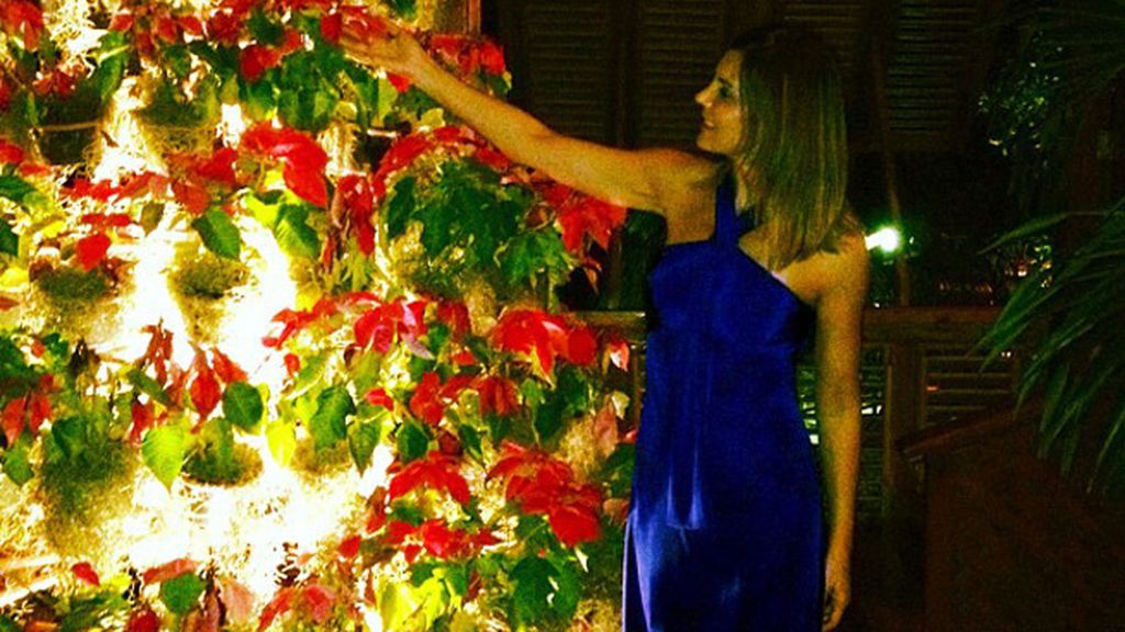 Mar Flores y su arbol navideño
