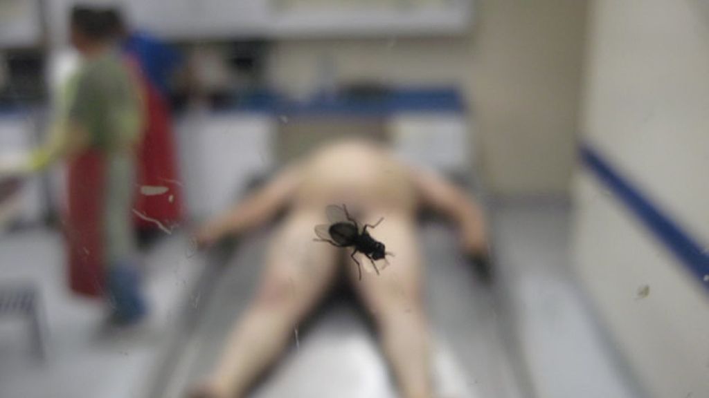 Jon Sistiaga: Narcoméxico