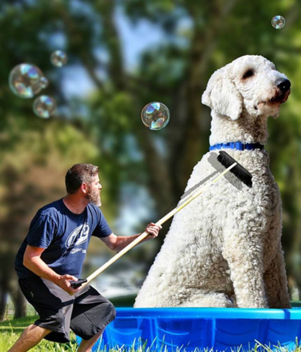 El fotógrafo venció la depresión con su mascota