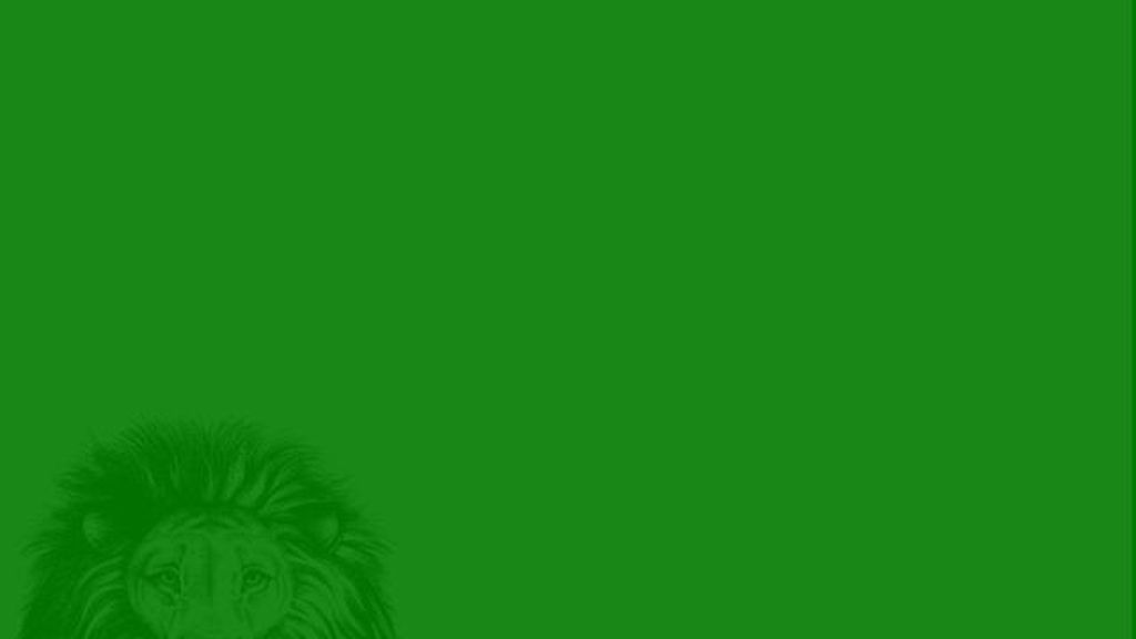 Unas imágenes de color con unas figuras escondidas